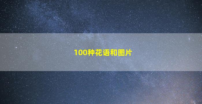 100种花语和图片