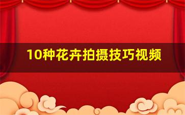 10种花卉拍摄技巧视频