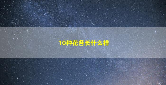 10种花各长什么样