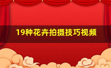 19种花卉拍摄技巧视频