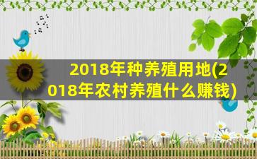 2018年种养殖用地(2018年农村养殖什么赚钱)