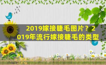 2019嫁接睫毛图片？2019年流行嫁接睫毛的类型