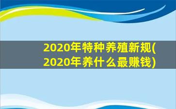 2020年特种养殖新规(2020年养什么最赚钱)