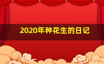 2020年种花生的日记