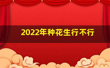 2022年种花生行不行