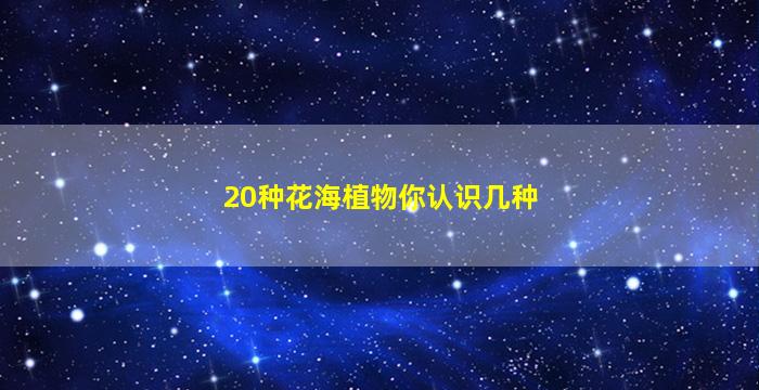 20种花海植物你认识几种