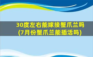 30度左右能嫁接蟹爪兰吗(7月份蟹爪兰能插活吗)