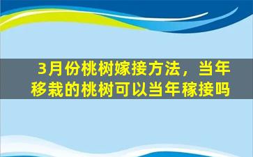 3月份桃树嫁接方法，当年移栽的桃树可以当年稼接吗