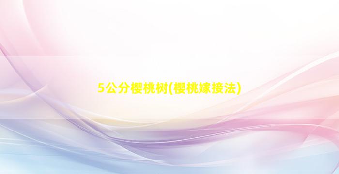 5公分樱桃树(樱桃嫁接法)