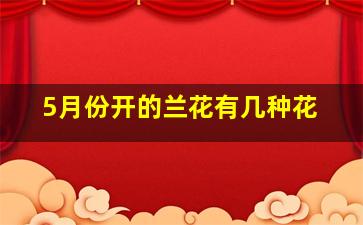 5月份开的兰花有几种花