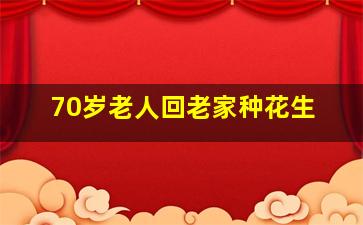 70岁老人回老家种花生