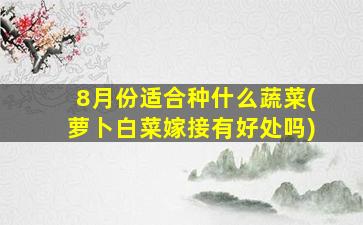 8月份适合种什么蔬菜(萝卜白菜嫁接有好处吗)