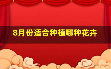 8月份适合种植哪种花卉