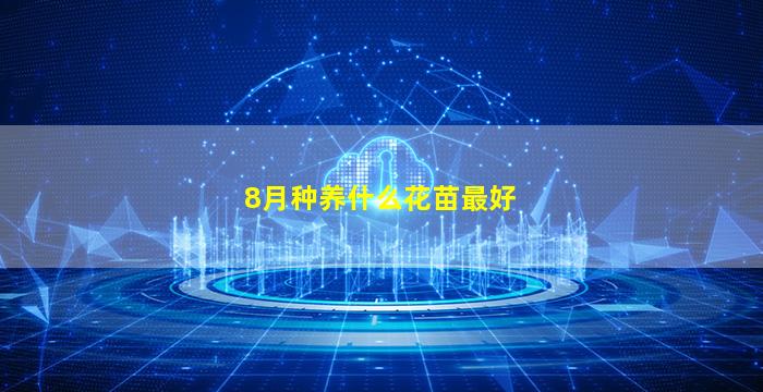 8月种养什么花苗最好