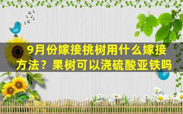 9月份嫁接桃树用什么嫁接方法？果树可以浇硫酸亚铁吗