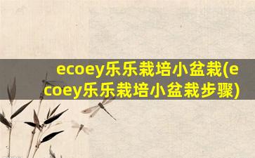 ecoey乐乐栽培小盆栽(ecoey乐乐栽培小盆栽步骤)