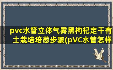 pvc水管立体气雾黑枸杞定干有土栽培培葱步骤(pVC水管怎样补漏)