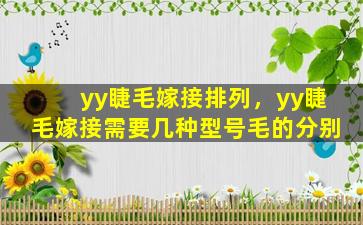 yy睫毛嫁接排列，yy睫毛嫁接需要几种型号毛的分别