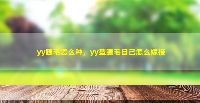 yy睫毛怎么种，yy型睫毛自己怎么嫁接