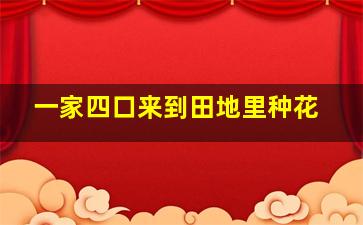 一家四口来到田地里种花