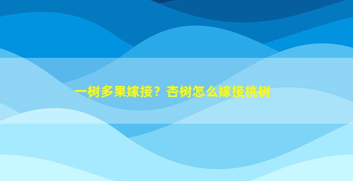 一树多果嫁接？杏树怎么嫁接桃树