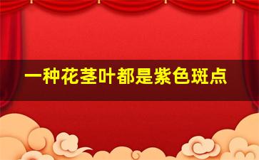 一种花茎叶都是紫色斑点