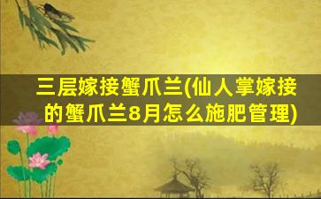 三层嫁接蟹爪兰(仙人掌嫁接的蟹爪兰8月怎么施肥管理)