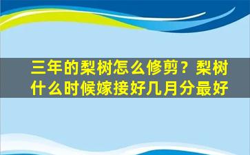 三年的梨树怎么修剪？梨树什么时候嫁接好几月分最好