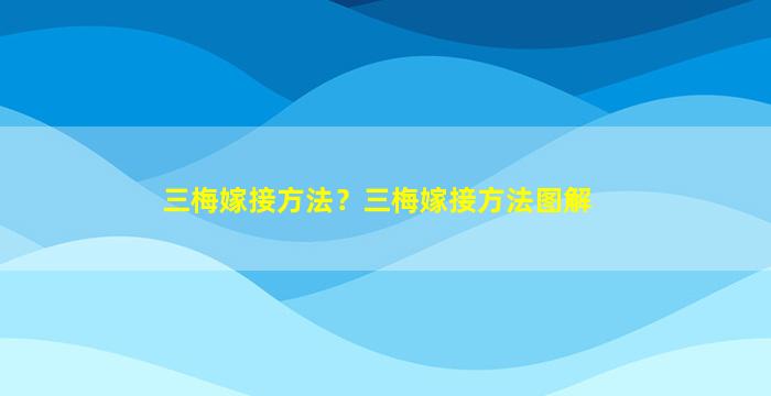 三梅嫁接方法？三梅嫁接方法图解