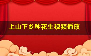 上山下乡种花生视频播放