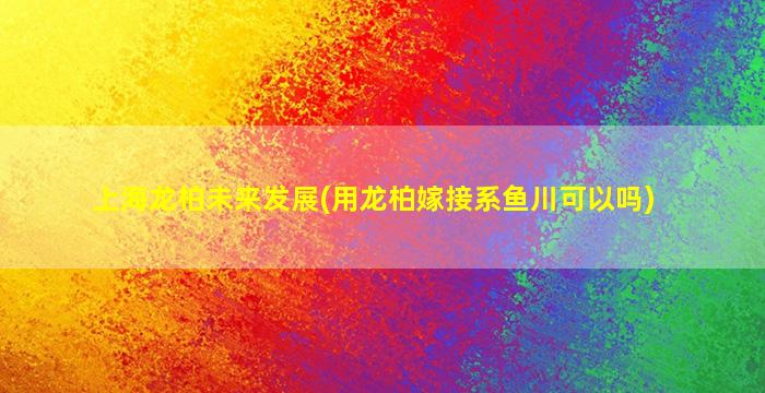 上海龙柏未来发展(用龙柏嫁接系鱼川可以吗)