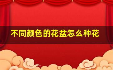 不同颜色的花盆怎么种花