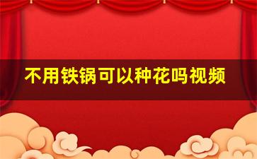 不用铁锅可以种花吗视频