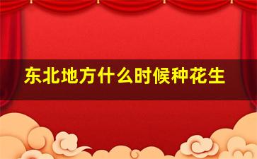 东北地方什么时候种花生