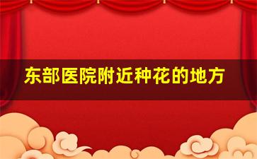 东部医院附近种花的地方