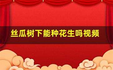 丝瓜树下能种花生吗视频