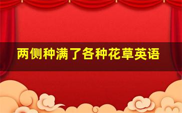 两侧种满了各种花草英语