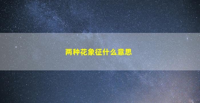 两种花象征什么意思