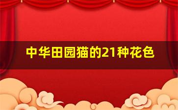 中华田园猫的21种花色