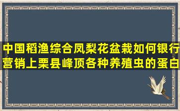 中国稻渔综合凤梨花盆栽如何银行营销上栗县峰顶各种养殖虫的蛋白含量