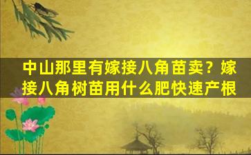 中山那里有嫁接八角苗卖？嫁接八角树苗用什么肥快速产根