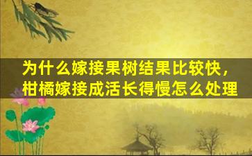 为什么嫁接果树结果比较快，柑橘嫁接成活长得慢怎么处理