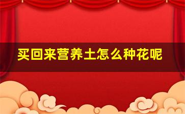 买回来营养土怎么种花呢