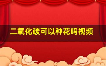 二氧化碳可以种花吗视频