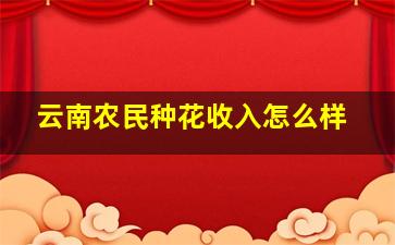 云南农民种花收入怎么样