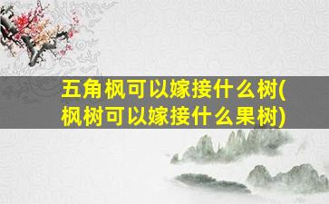 五角枫可以嫁接什么树(枫树可以嫁接什么果树)