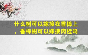 什么树可以嫁接在香樟上，香樟树可以嫁接肉桂吗