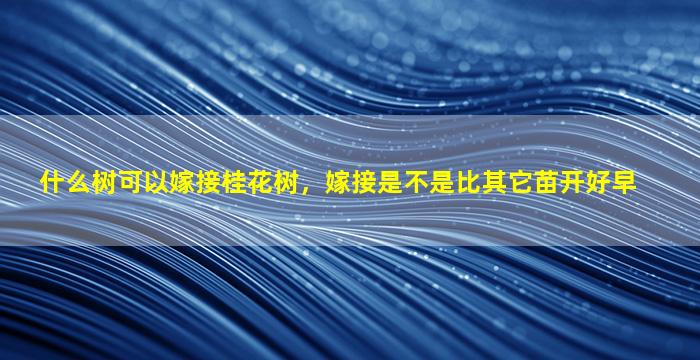 什么树可以嫁接桂花树，嫁接是不是比其它苗开好早