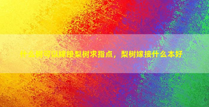 什么树可以嫁接梨树求指点，梨树嫁接什么本好