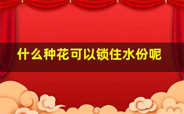 什么种花可以锁住水份呢